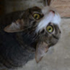 Meet your Posher, Marissa